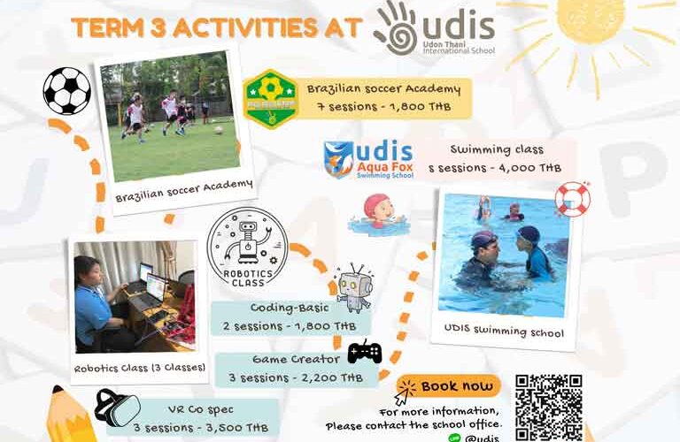Activities at UDIS